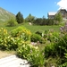 DSCN1168
