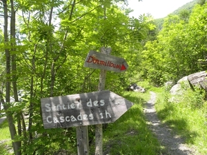 DSCN1194