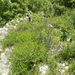 DSCN1202