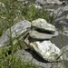 DSCN1209
