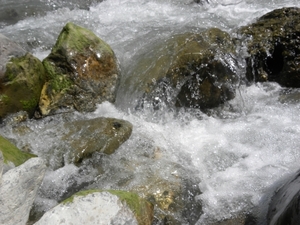 DSCN1216