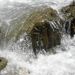 DSCN1217