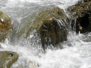 DSCN1217
