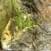 DSCN1219