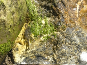 DSCN1219