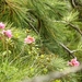 DSCN1249