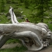 DSCN1253