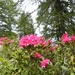 DSCN1256