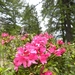 DSCN1257