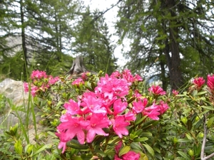 DSCN1257