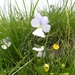 DSCN1267