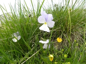 DSCN1267
