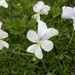 DSCN1268