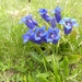 DSCN1269