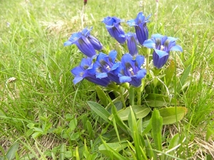 DSCN1269