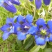 DSCN1270