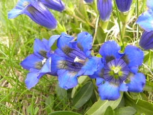 DSCN1270