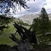 DSCN1274