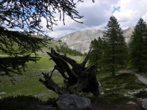 DSCN1274