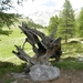 DSCN1275