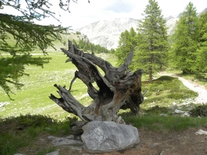 DSCN1275