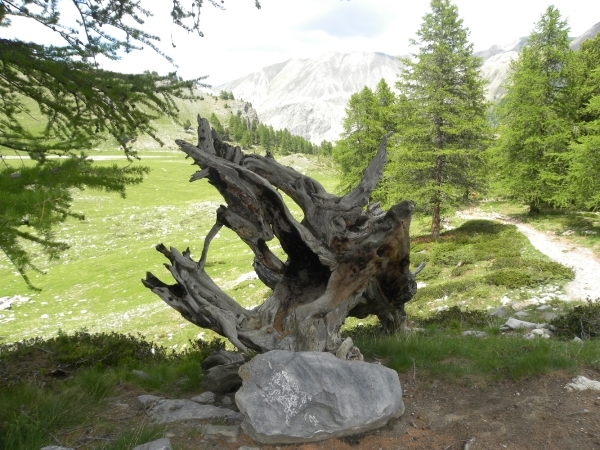 DSCN1275