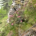 DSCN1277