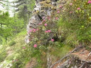 DSCN1277