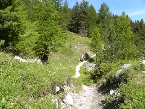 DSCN1283