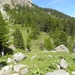 DSCN1284