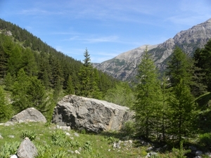 DSCN1285