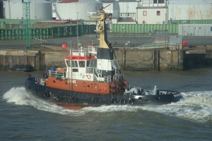 DSC00596