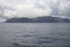 DSC00678