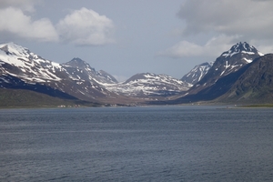DSC00781