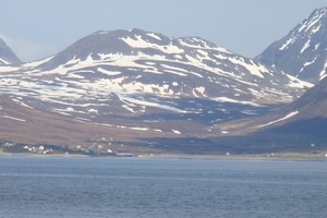 DSC00782