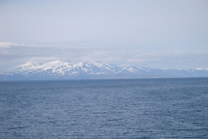 DSC00783