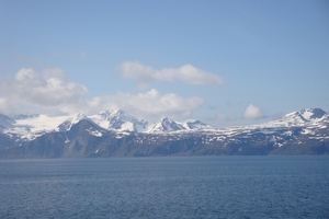 DSC00784