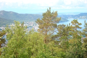 DSC00860