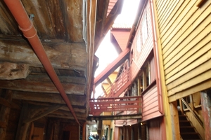 DSC00864
