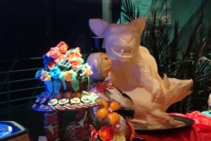 DSC00896