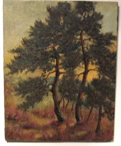 IMG_1089 dennebomen (Kempen)