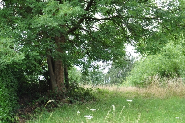 DSC_0030