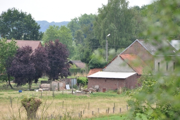 DSC_0046