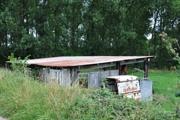 DSC_0049
