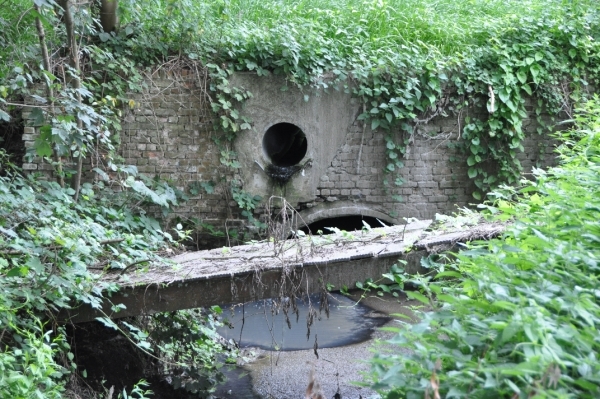 DSC_0067