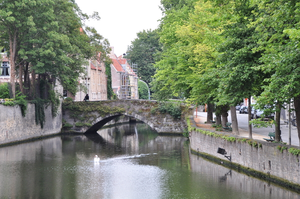 DSC_0002 PARELTJES VAN M'N NATUURSTAD BIJ UITSTEK : BRUGGE!
