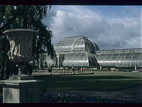 Botanische Tuin Kew (Londen)