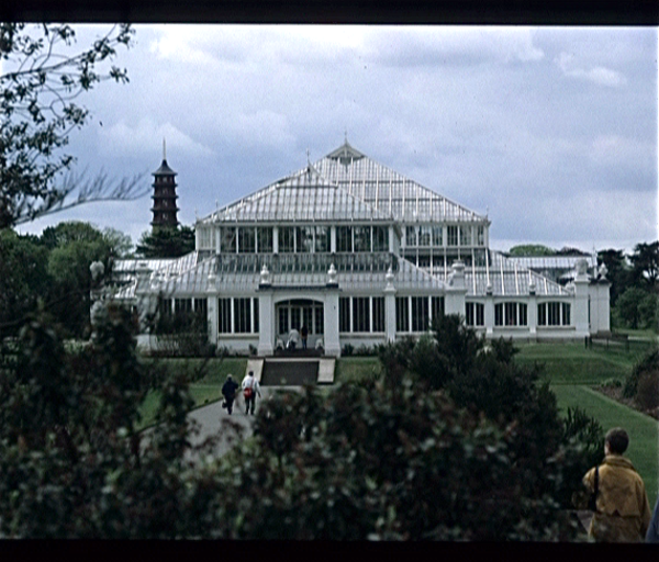 Botanische Tuin Kew (Londen)