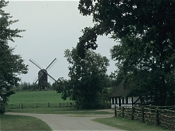 Saal  Denemarken