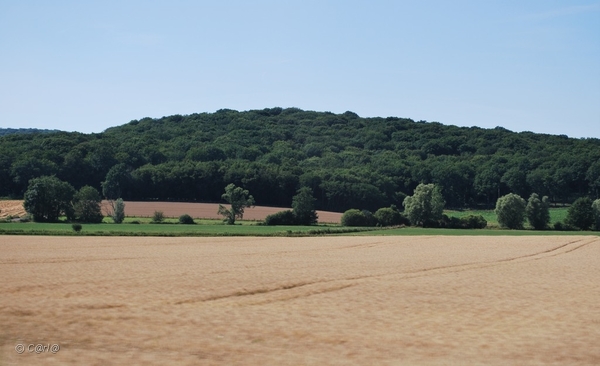 2010-07-08 D1 Vosselaar-Vesoul (13)